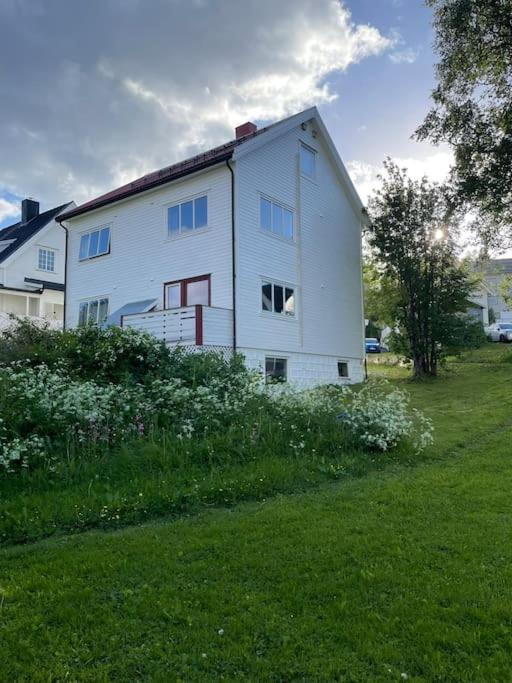 The Aurora Garden - 1Bedroom Apartment - Walking Distance From City Center Tromsø Esterno foto
