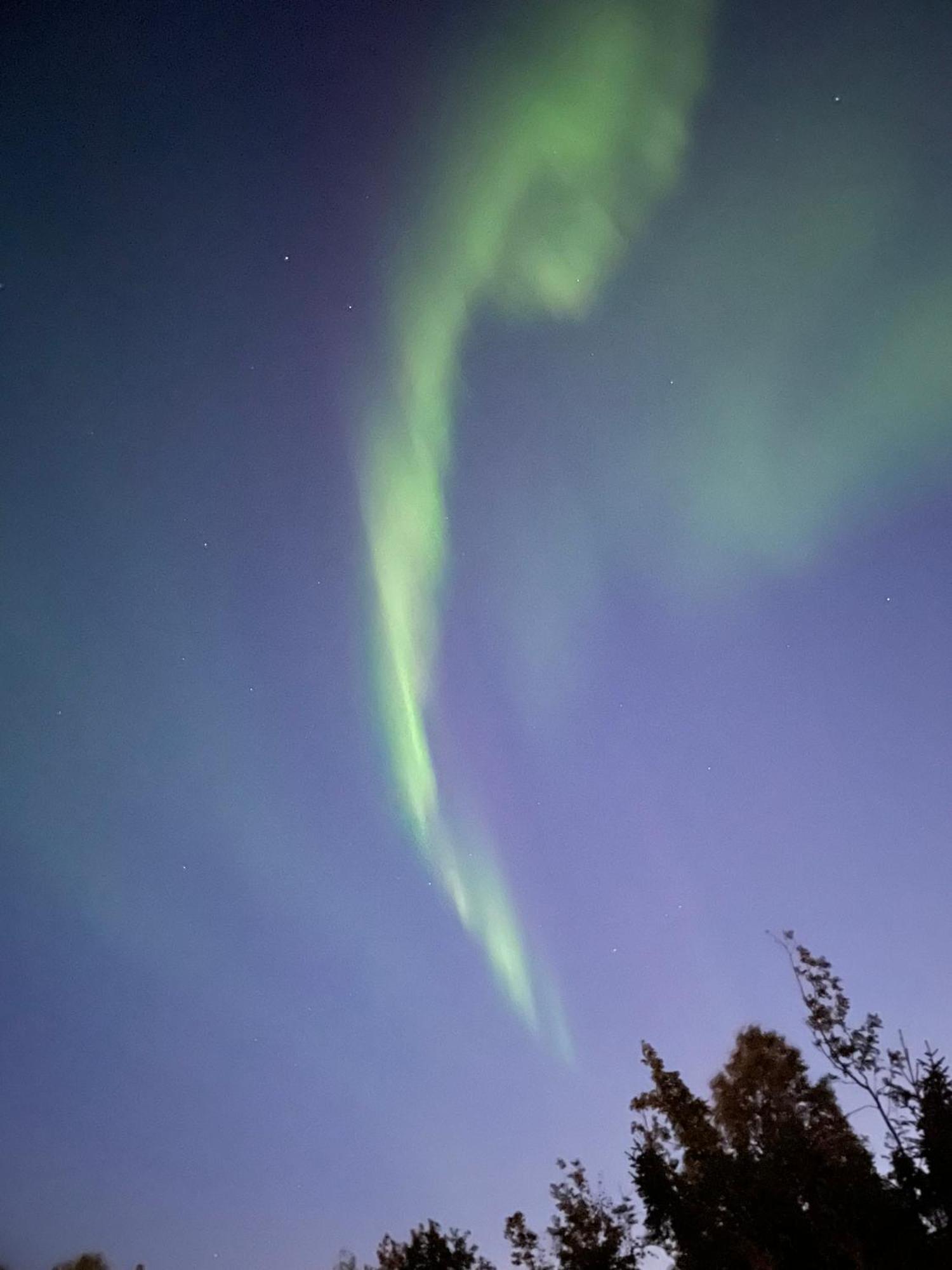 The Aurora Garden - 1Bedroom Apartment - Walking Distance From City Center Tromsø Esterno foto