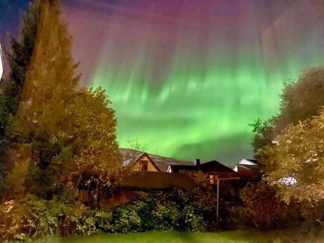 The Aurora Garden - 1Bedroom Apartment - Walking Distance From City Center Tromsø Esterno foto